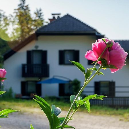 Apartments Zakrasnik Škofja Loka Esterno foto