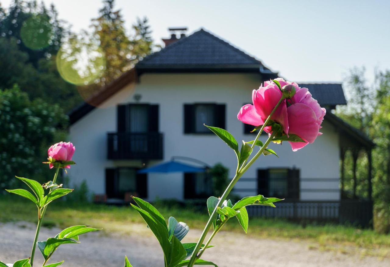 Apartments Zakrasnik Škofja Loka Esterno foto