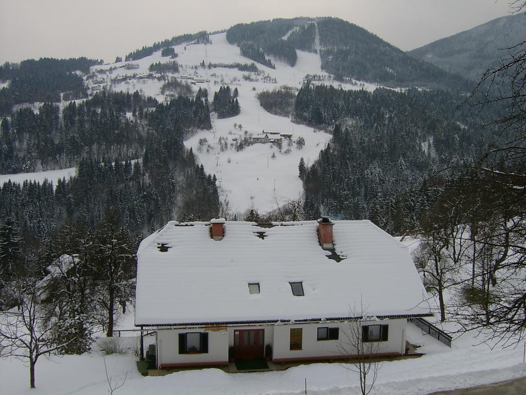 Apartments Zakrasnik Škofja Loka Esterno foto
